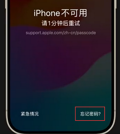 平泉苹果手机密码维修分享iPhone忘记了刚设置的密码 