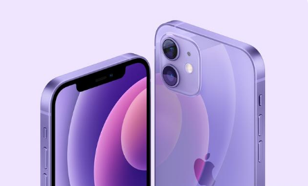 平泉苹果手机维修分享紫色版iPhone 12有什么技术亮点 